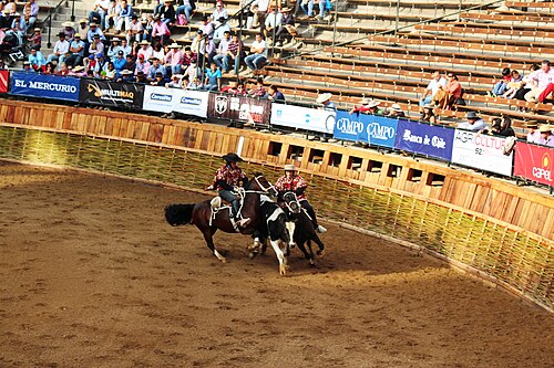 Chilean rodeo