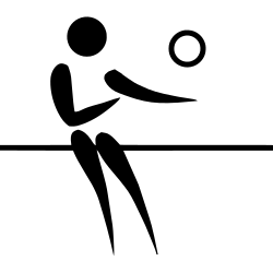 Fistball pictogram
