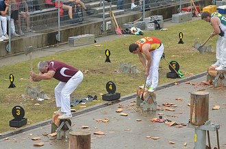 Woodchopping