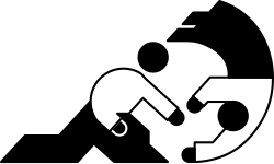 Aikido pictogram