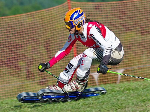 Grass skiing