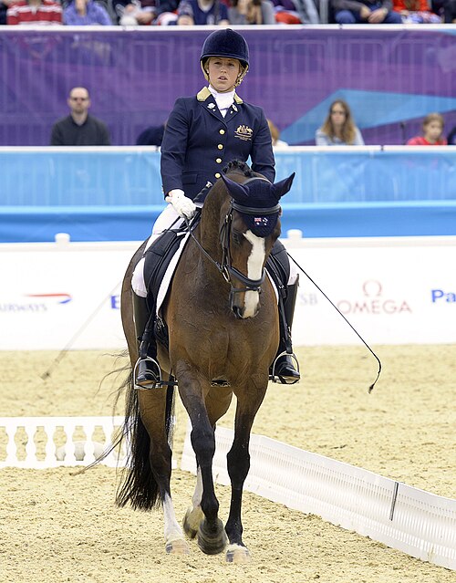 Para equestrian