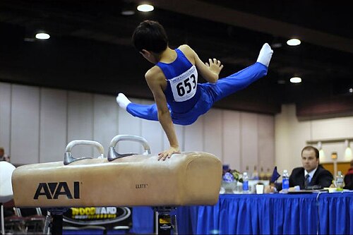 Gymnastics