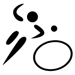 Roundnet pictogram