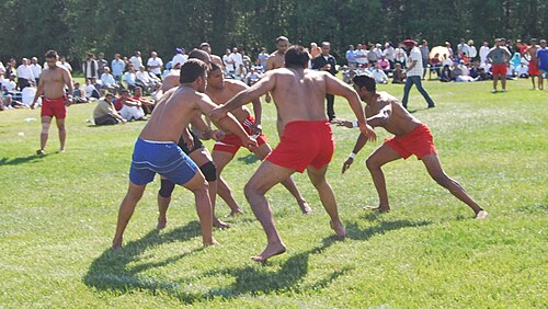 Punjabi Kabaddi