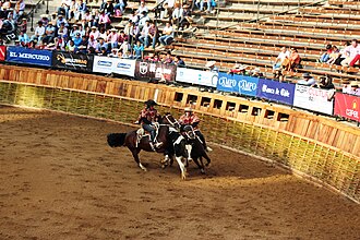 Chilean rodeo
