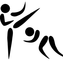 Mixed martial arts pictogram