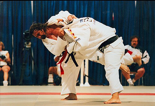 Para judo