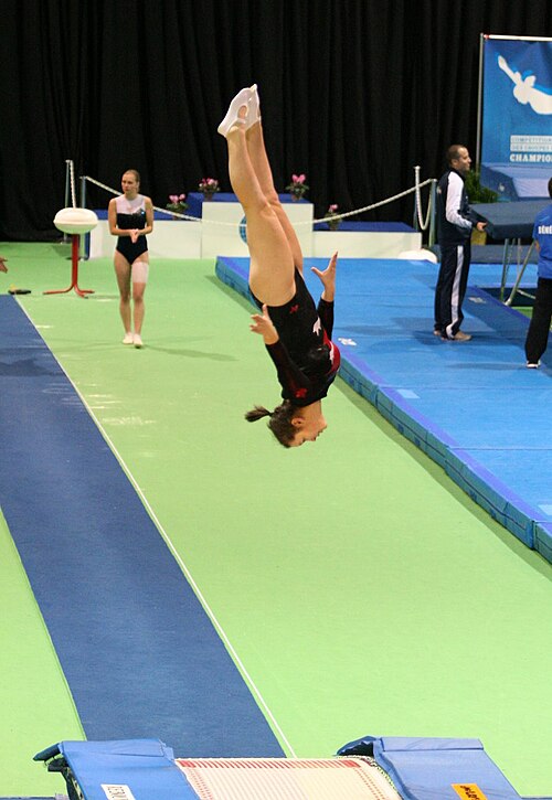 Trampoline gymnastics