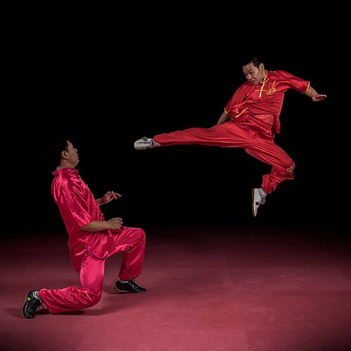 Wushu