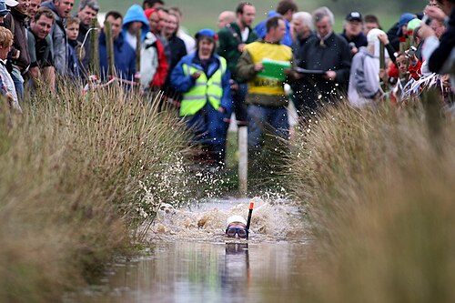 Bog snorkelling