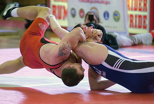Freestyle wrestling