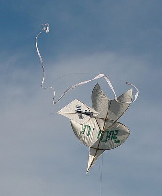 Fighter kite