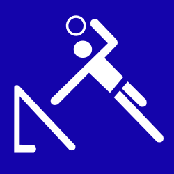 Tchoukball pictogram