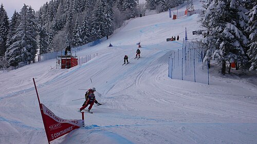 Ski cross
