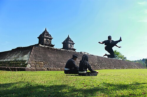 Pencak silat