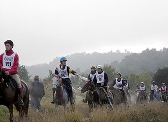 Endurance riding