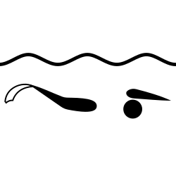Finswimming pictogram