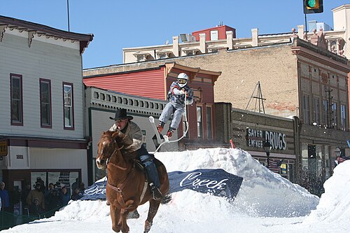 Skijoring