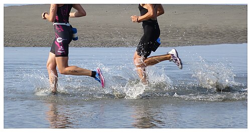 Swimrun