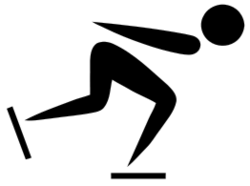 Ice cross downhill pictogram