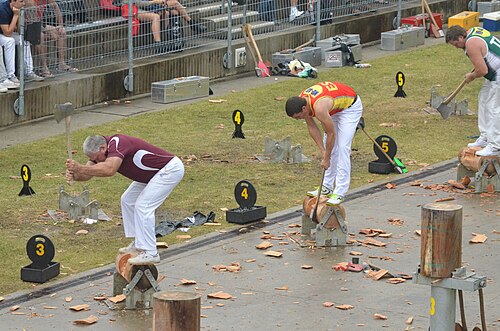 Woodchopping