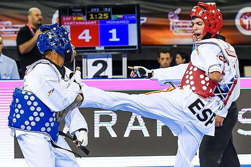 Para taekwondo