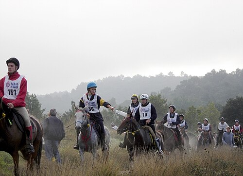 Endurance riding