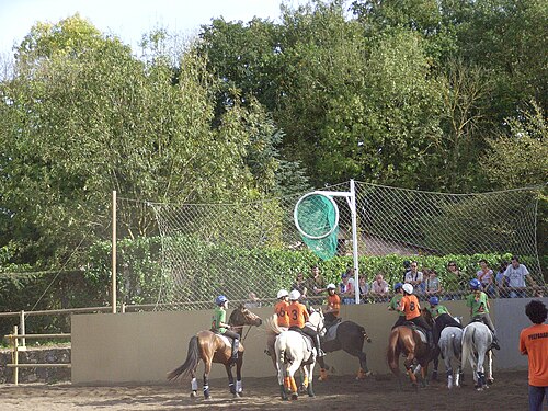 Horseball