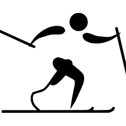 Para cross-country skiing pictogram