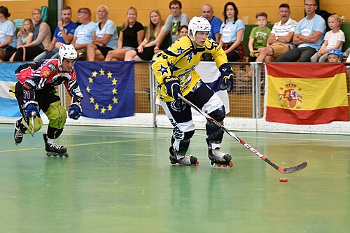 Inline hockey