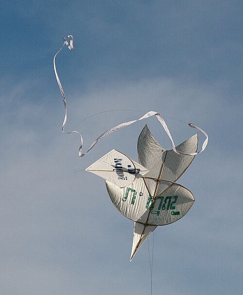Fighter kite