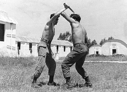 Krav Maga