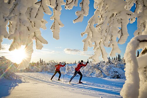 Cross-country skiing
