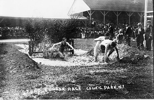 Steeplechase