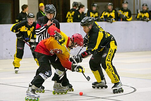 Roller hockey