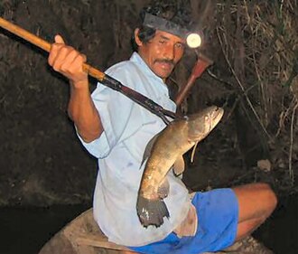 Spearfishing