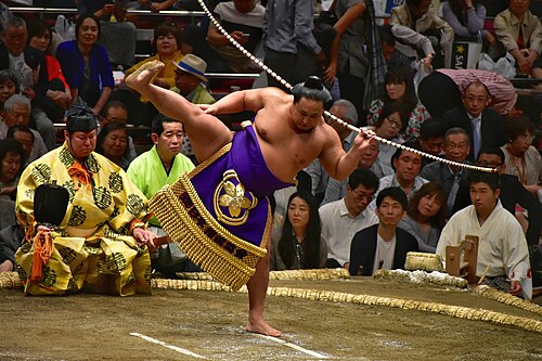 Japanese martial arts