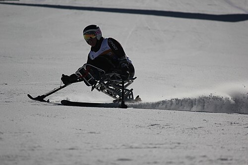 Para alpine skiing