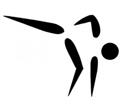Taidō pictogram